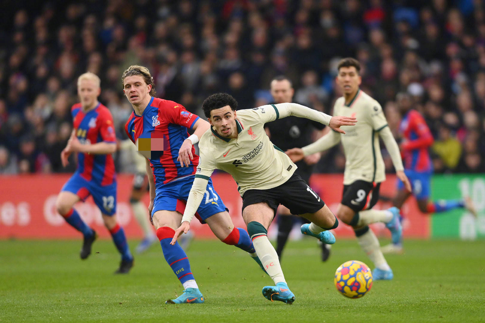 了解埃迪 了解埃迪